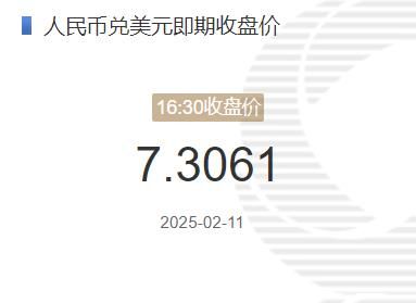 2月11日人民币兑美元即期收盘价报7.3061 较上一交易日上调16个基点(2025年02月11日)